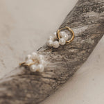 Helmikorvakorut puun päällä