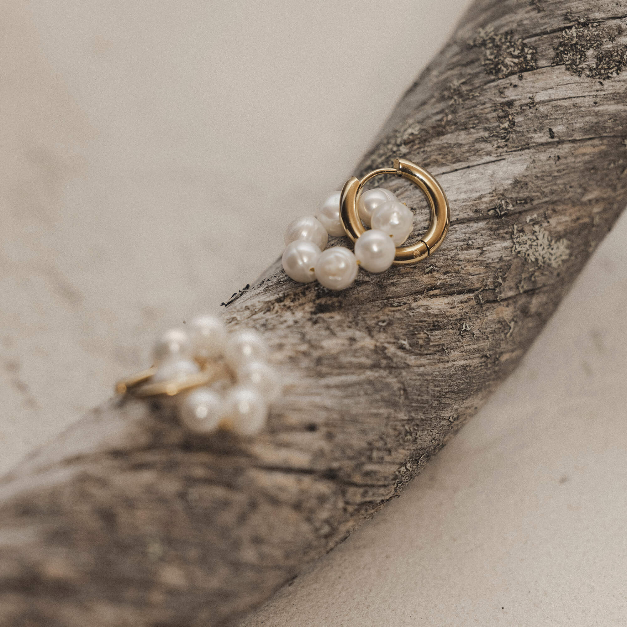 Helmikorvakorut puun päällä