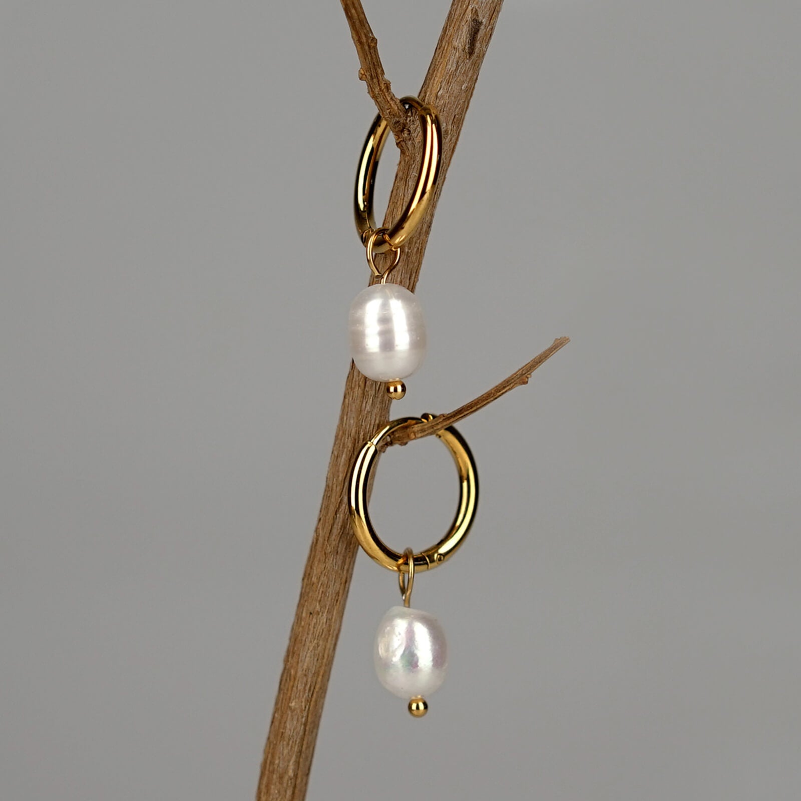 Kullatut makeanveden helmikorvakorut roikkumassa