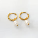 Kullatut helmikorvakorut jossa yksi makeanvedenhelmi