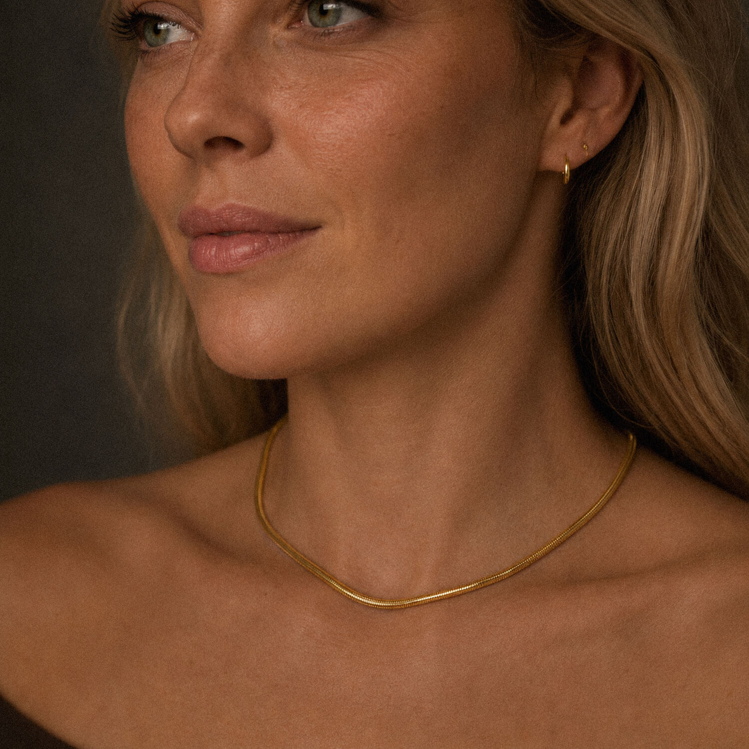 Close-up portrait of a woman wearing a delicate 18k PVD gold-plated stainless steel snake chain necklace. The necklace rests naturally along the collarbone, with soft warm lighting and a dark neutral background highlighting the jewelry.